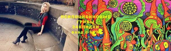 МДПВ Арсеньев