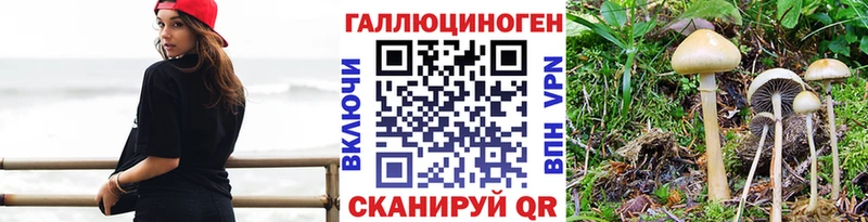 mega сайт  Унеча  Галлюциногенные грибы Psilocybe  продажа наркотиков 